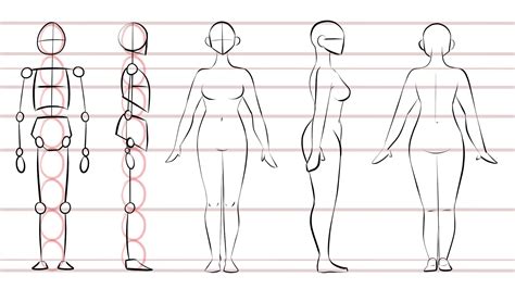 How to draw female Bodies 